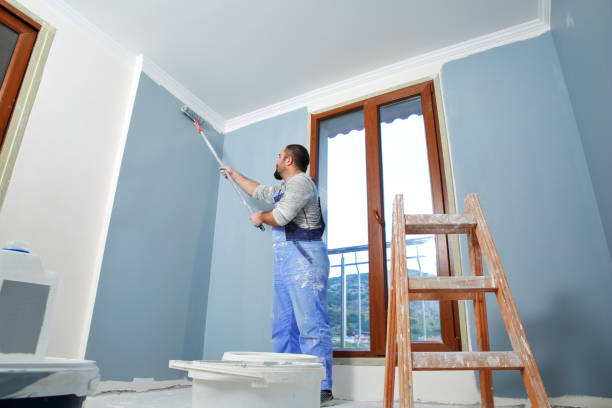 Best Environmental Consulting for Mold Prevention  in Pine Level, NC