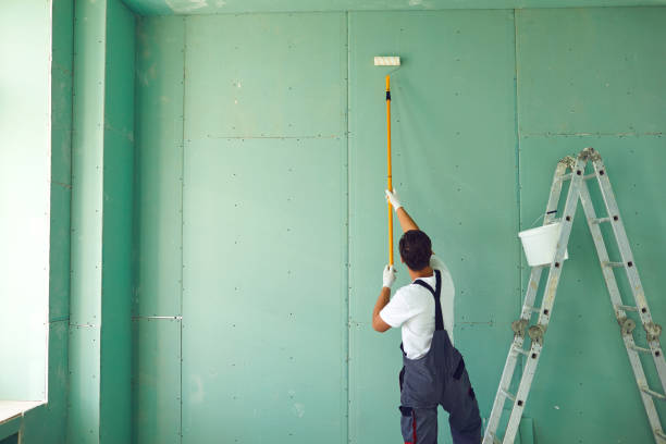 Best Mold Damage Restoration  in Pine Level, NC