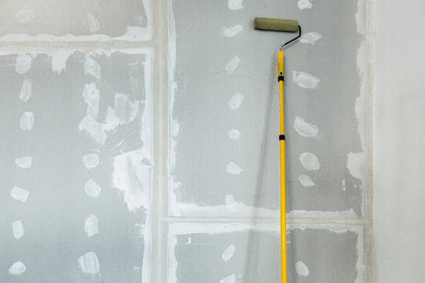Best Black Mold Removal  in Pine Level, NC